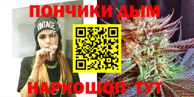сатива Жуковский
