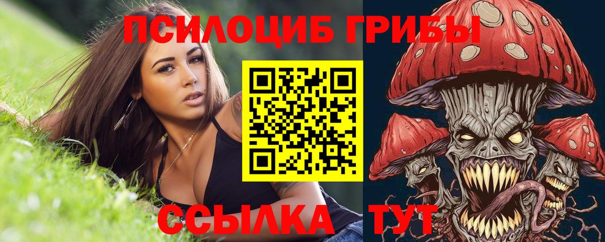 Краснодар  Псилоцибиновые грибы ЛСД  Галлюциногенные грибы Cubensis  Вход с VPN 